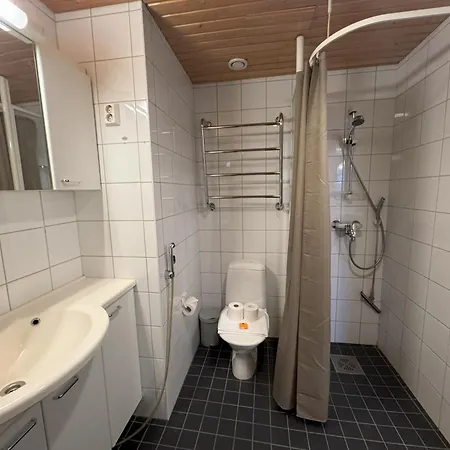 41 M2 With Sauna, View And Balcony To The Park Saunallinen Yksioe
