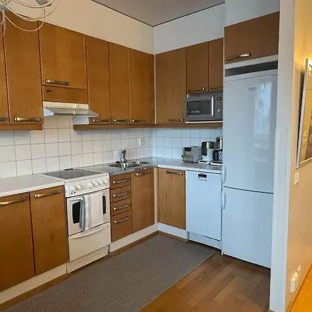 41 M2 With Sauna, View And Balcony To The Park Saunallinen Yksioe Apartmán Helsinky